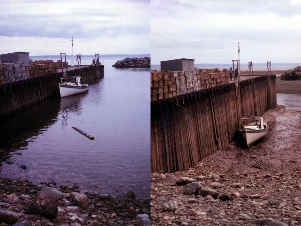 High and Low Tide in the Bay of Fundy (Credit: Samuel Wantman)